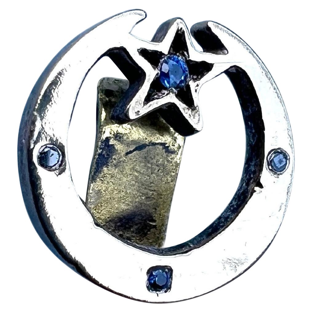 Crescent Moon Black Diamond Blue Saphire Earring