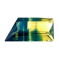 GIA Certificato Unico 1,13ct Zaffiro Bi Colore Non Trattato Gemma Taglio Fantasia