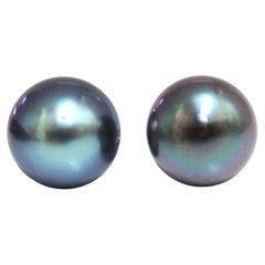 Tahitian Pearl Stud Earrings 14 Karat