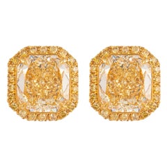 Alexander Beverly Hills, clous d'oreilles fantaisie en diamant jaune intense de 9,05 carats certifié GIA