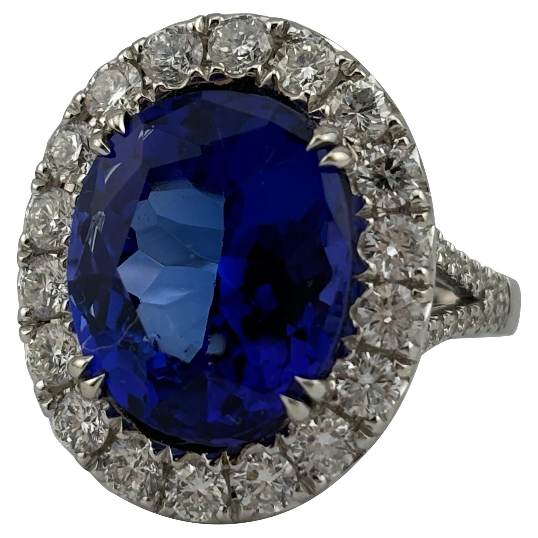 Opulent 18k White Gold Tanzanite & Diamond Halo Cocktail Ring