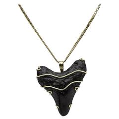 Petrified Dark Shark's Tooth Pendant in Yellow Gold