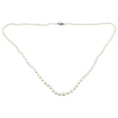 Japanese Akoya Fine Cultured Pearls