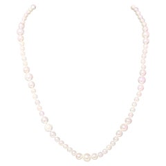 Akoya Pearl Necklace 14k Yellow Gold Certified