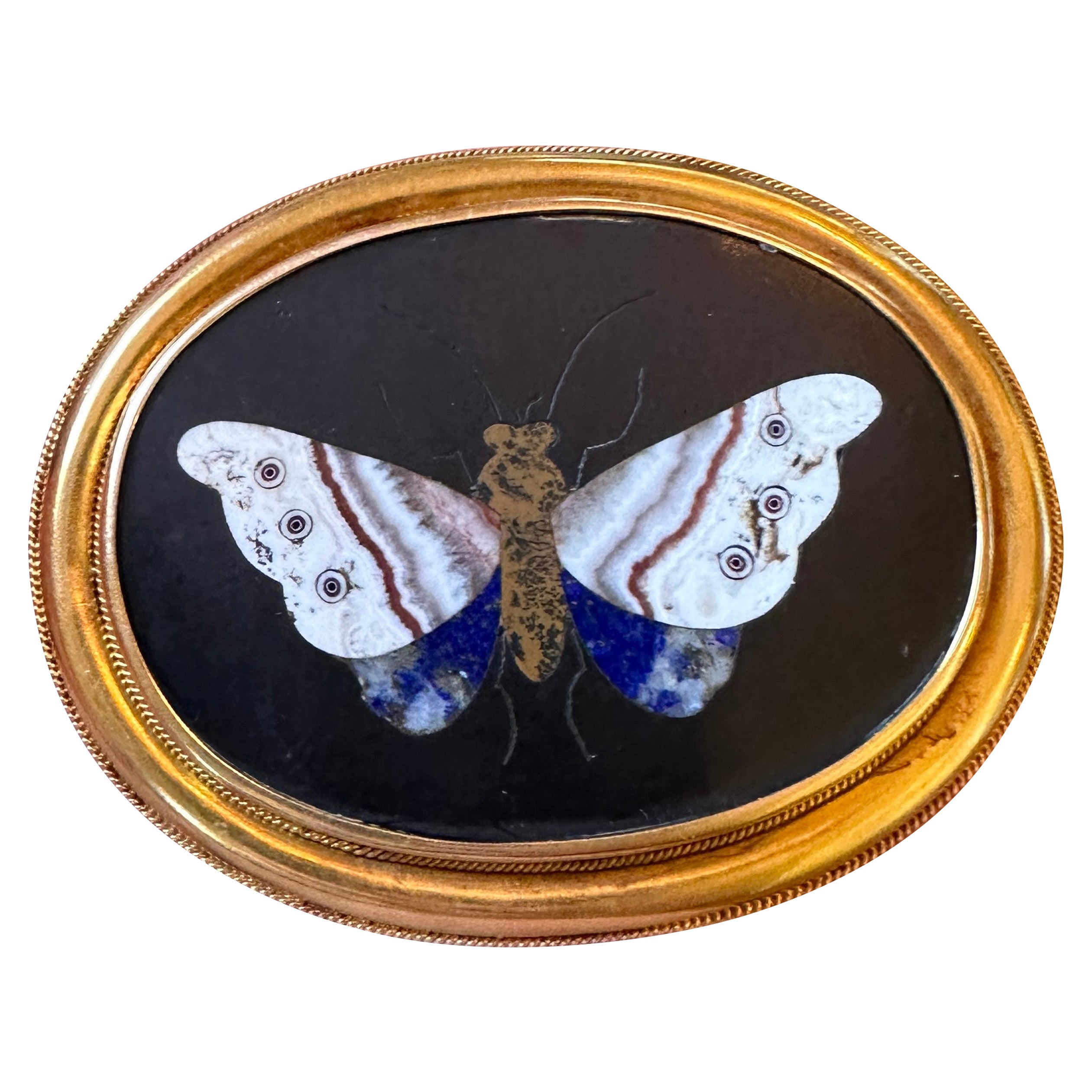Pietra Dura Butterfly Moth Insect Brooch Pin 14 Karat Gold Antique Victorian