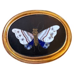 Pietra Dura Butterfly Moth Insect Brooch Pin 14 Karat Gold Antique Victorian
