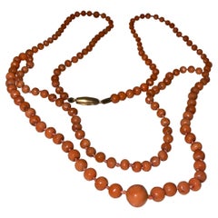 Antiguo collar victoriano de coral mediterráneo con cierre de oro amarillo de 18 quilates