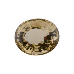Natürlicher Citrin - 194ct Edelstein XXL