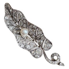 Late 19th Century Old Cut Diamond and Natural Saltwater Pearl Morning Glory Leaf