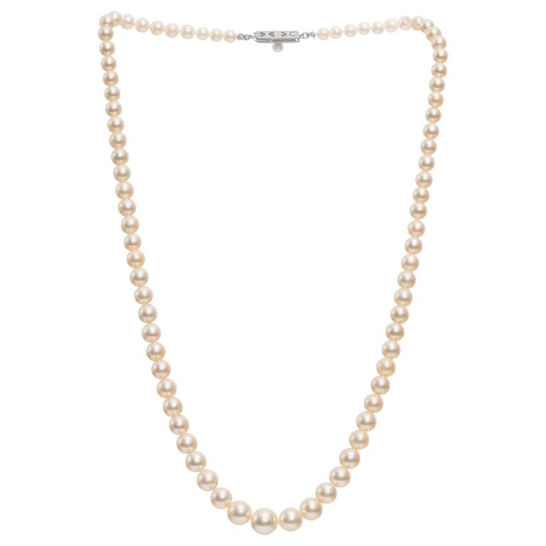 Mikimoto clasp designs deals