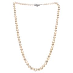 1930s Mikimoto Necklace with Graduating Pearls