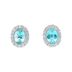 Elegant Aqua Earrings