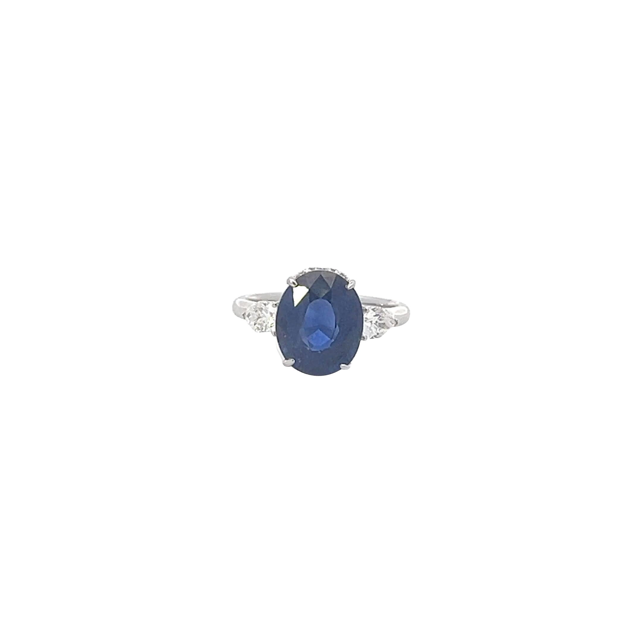 Elegant Sapphire white gold Ring