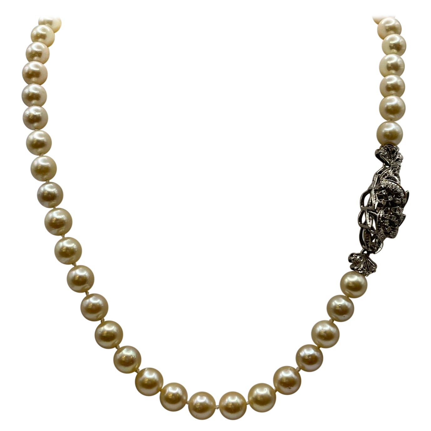 Vintage necklace with Japanese akoya pearls and 18 kt white gold clasp.