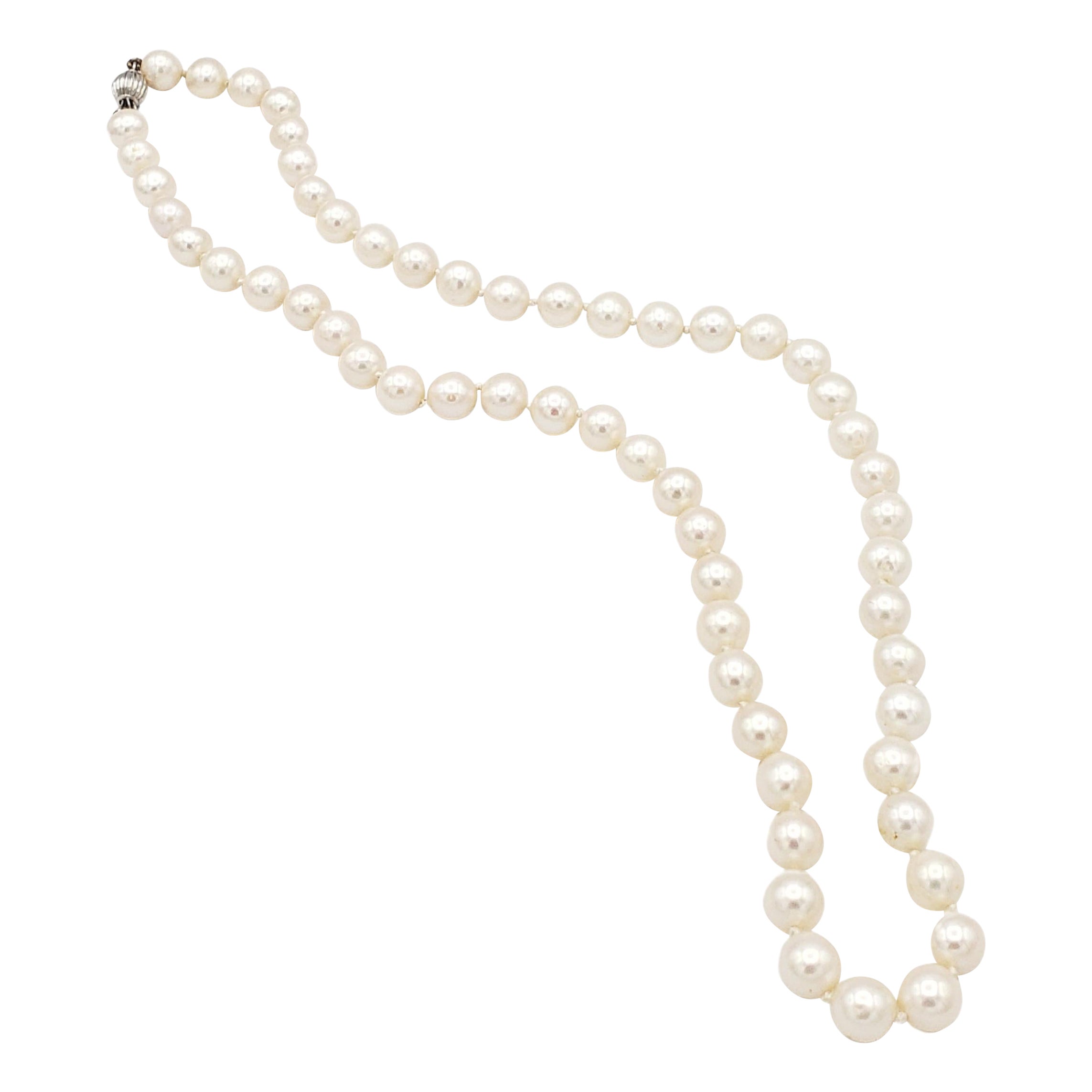 NEW Certified AA+ Quality Japanese Akoya Salt Water White Pearl Necklace