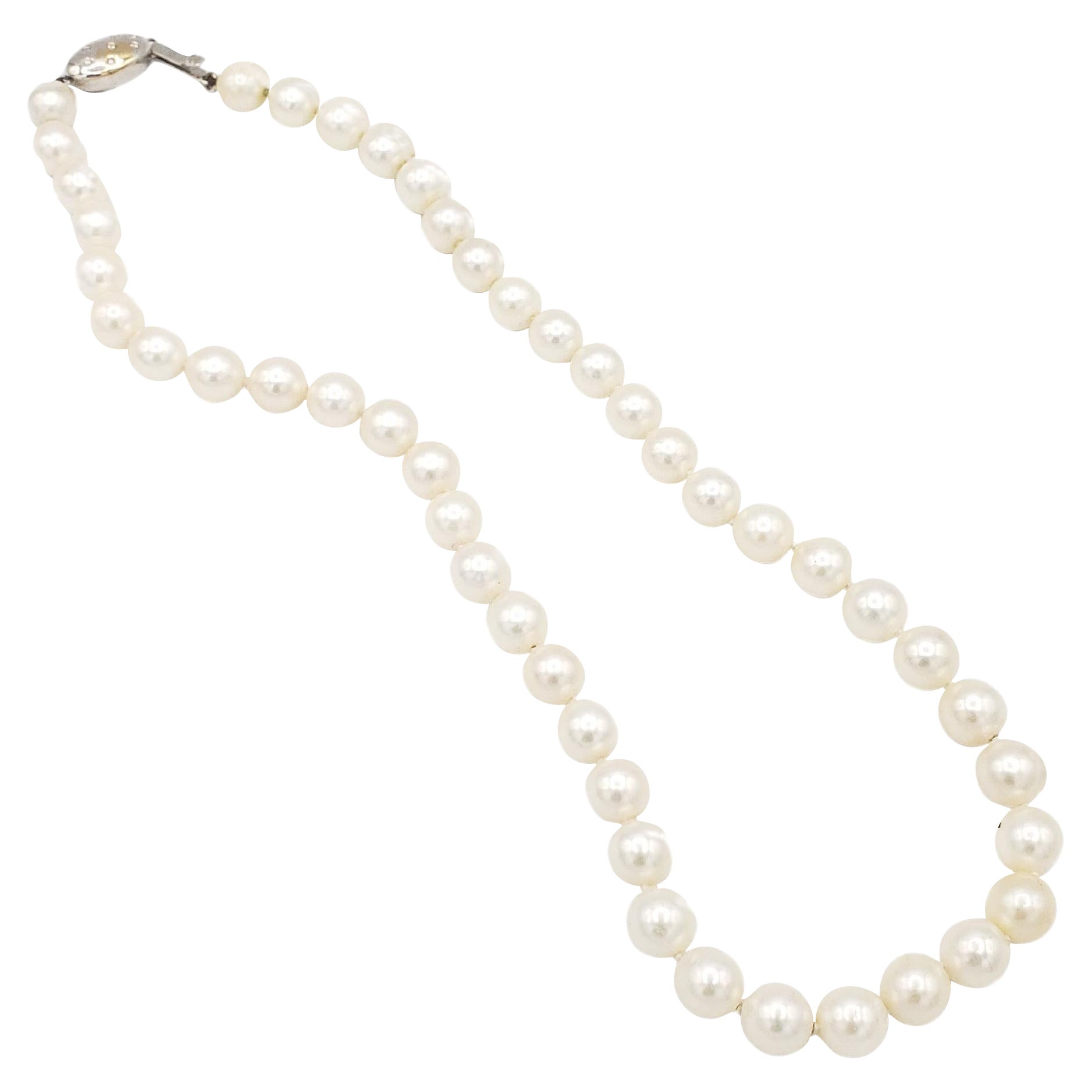 NOUVEAU Collier Akoya japonais de qualité AAA+ en perles blanches d'eau salée