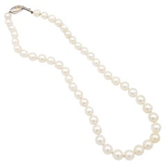 NEW AAA+ Quality Japanese Akoya Salt Water White Pearl Necklace