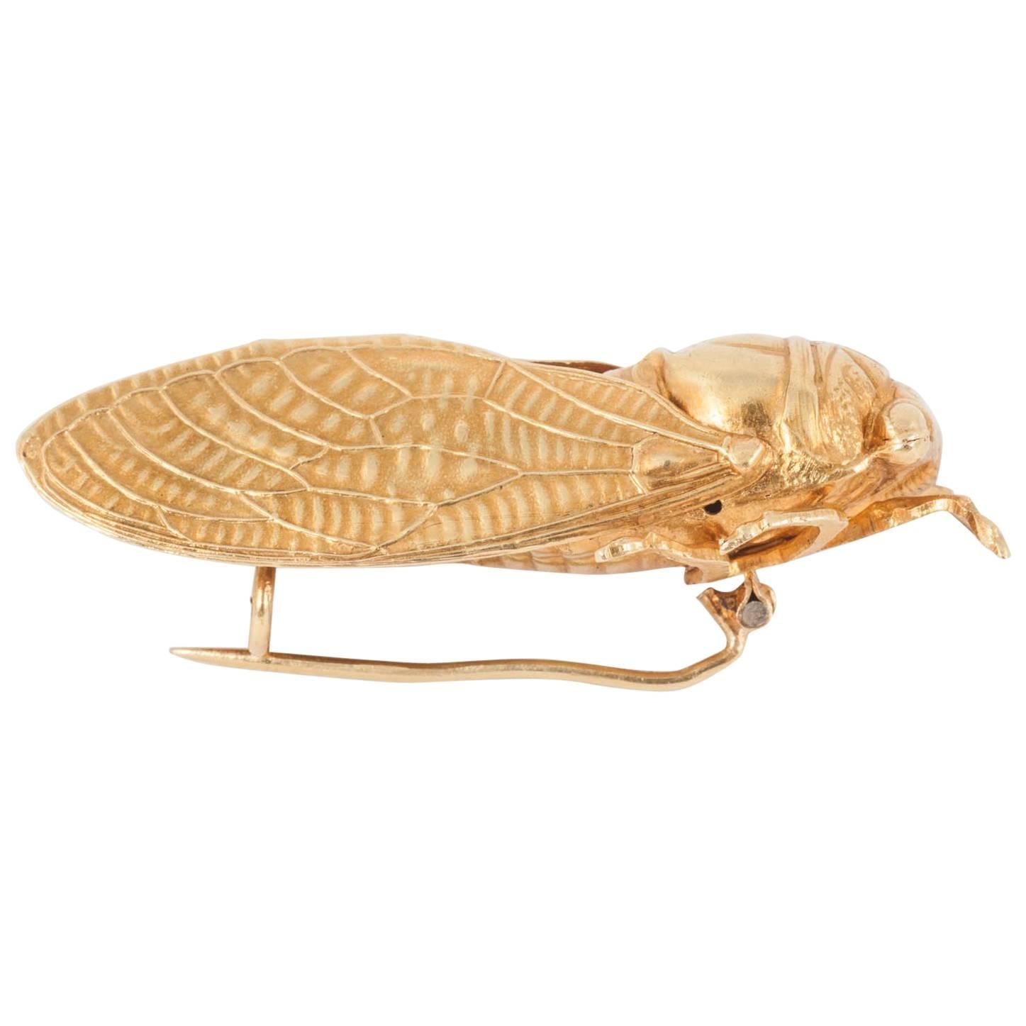 Victorian Gold Cicada Brooch
