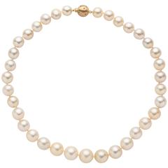 South Sea Pearl Necklace on Yellow Gold Ball Clasp
