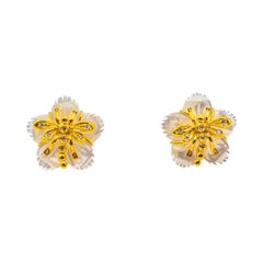 Stud Earrings