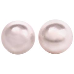 21st Century Large South Sea Pearl White Gold Stud Earrings