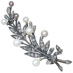 Antique French Natural Pearl Diamond Silver gold Brooch