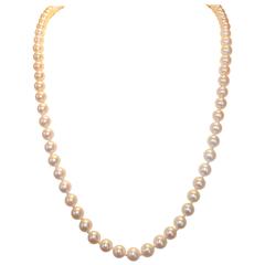 Fine Strand of Pearls with a Diamond Clasp
