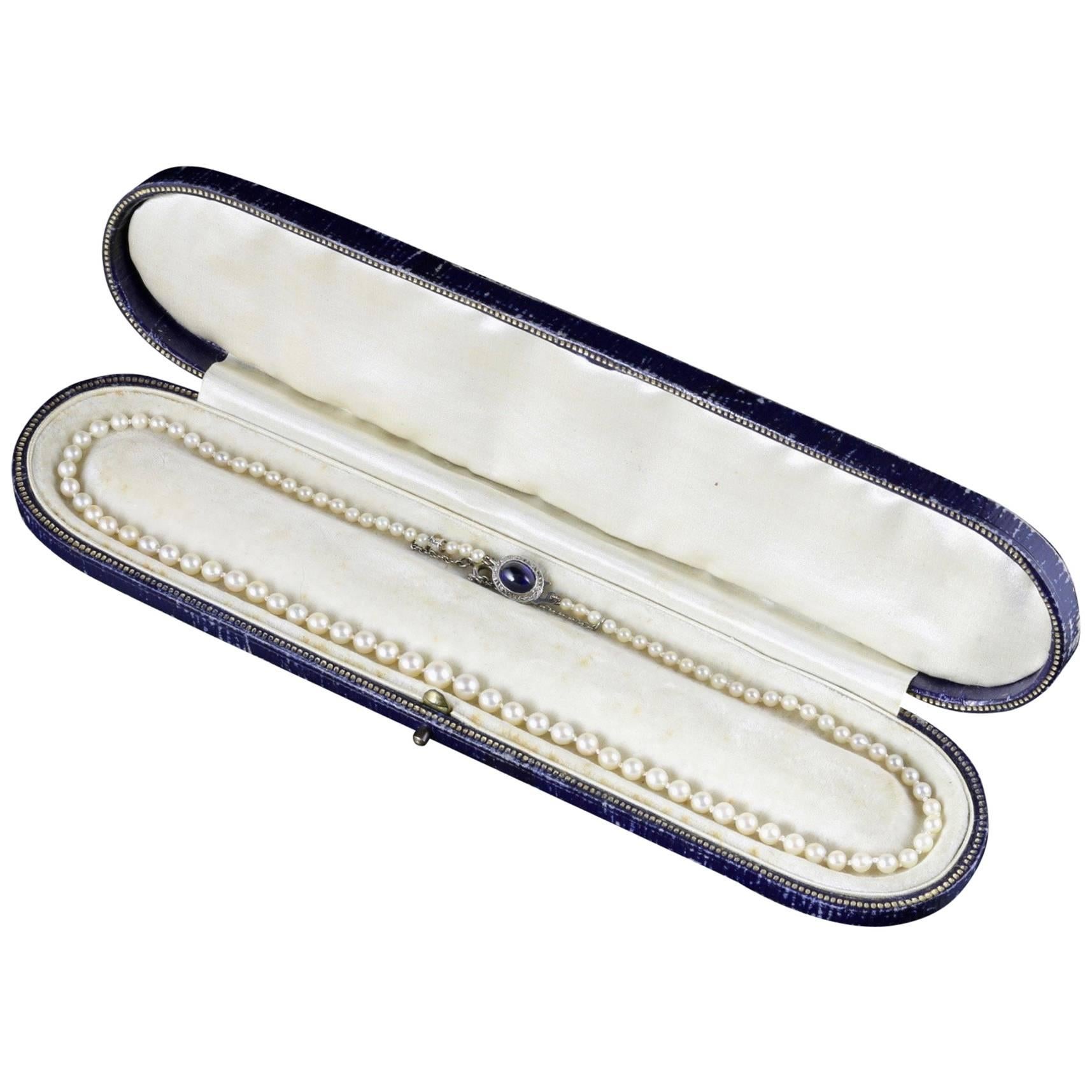 Antique Edwardian Pearl Necklace Sapphire Diamond Clasp in Original Box