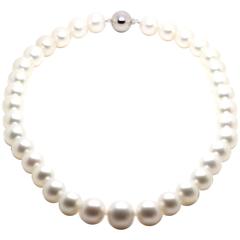 White South Sea Pearl Strand Necklace 8