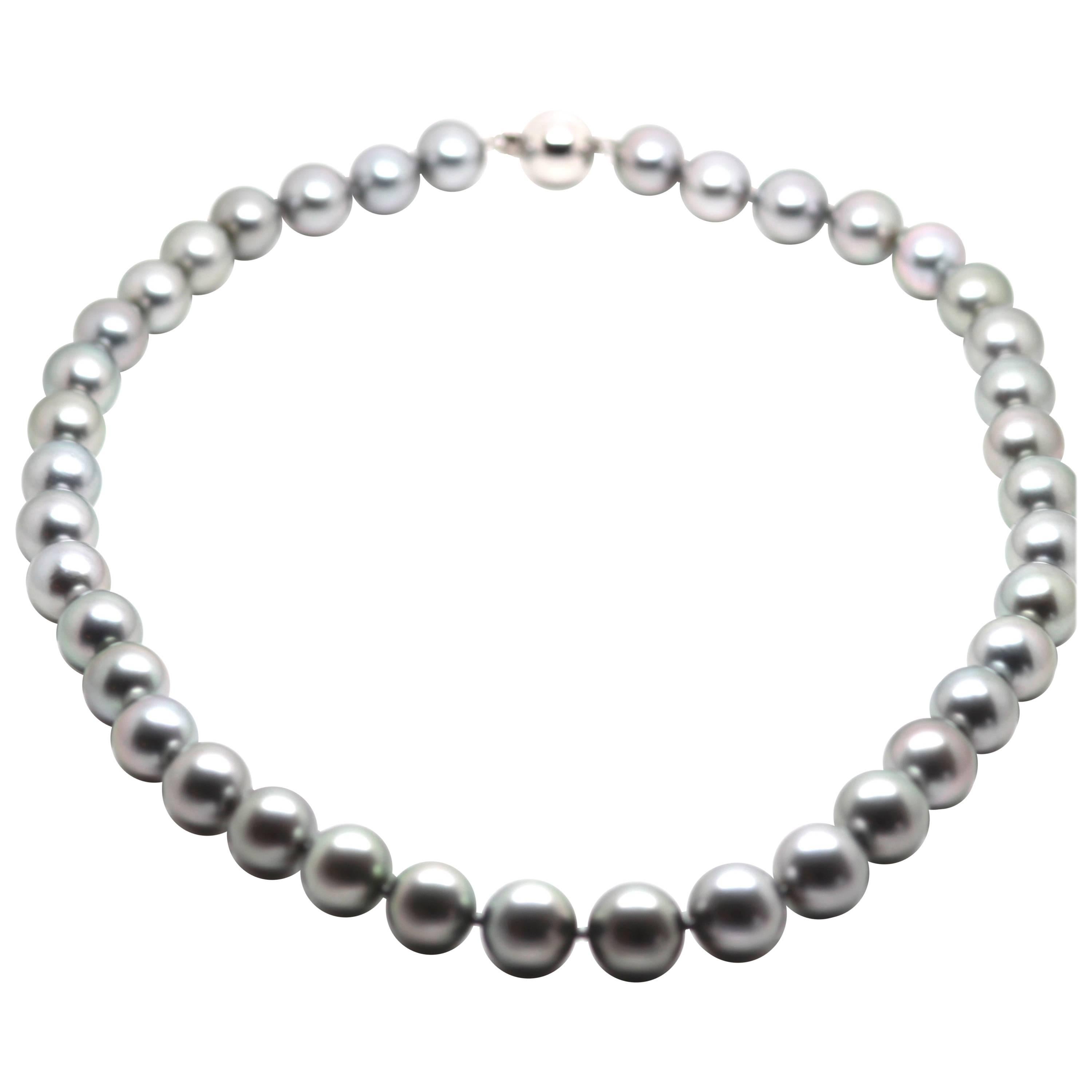 Tahitian Grey South Sea Pearl Strand Necklace For Sale