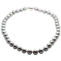 Tahitian Grey South Sea Pearl Strand Necklace