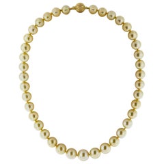 Golden South Sea Pearl Necklace