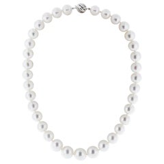 South Sea Pearl Necklace