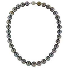 Dark Grey Tahitian Pearl Necklace