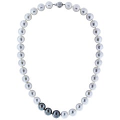 South Sea Tahitian Pearl Necklace