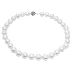 South Sea Pearl Necklace with Gold Clasp 10