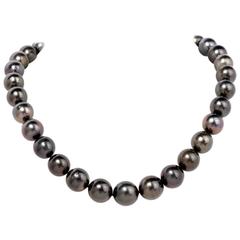 Black Tahitian South Sea Pearl White Gold Choker Necklace