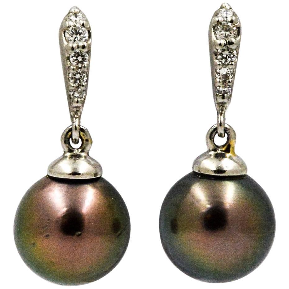 Cultured Black Pearl Drop Earrings