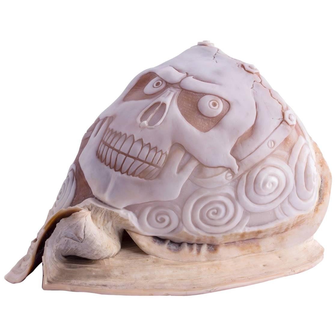 Amedeo Teschio One of a Kind Hand-Carved Sardonyx Shell For Sale