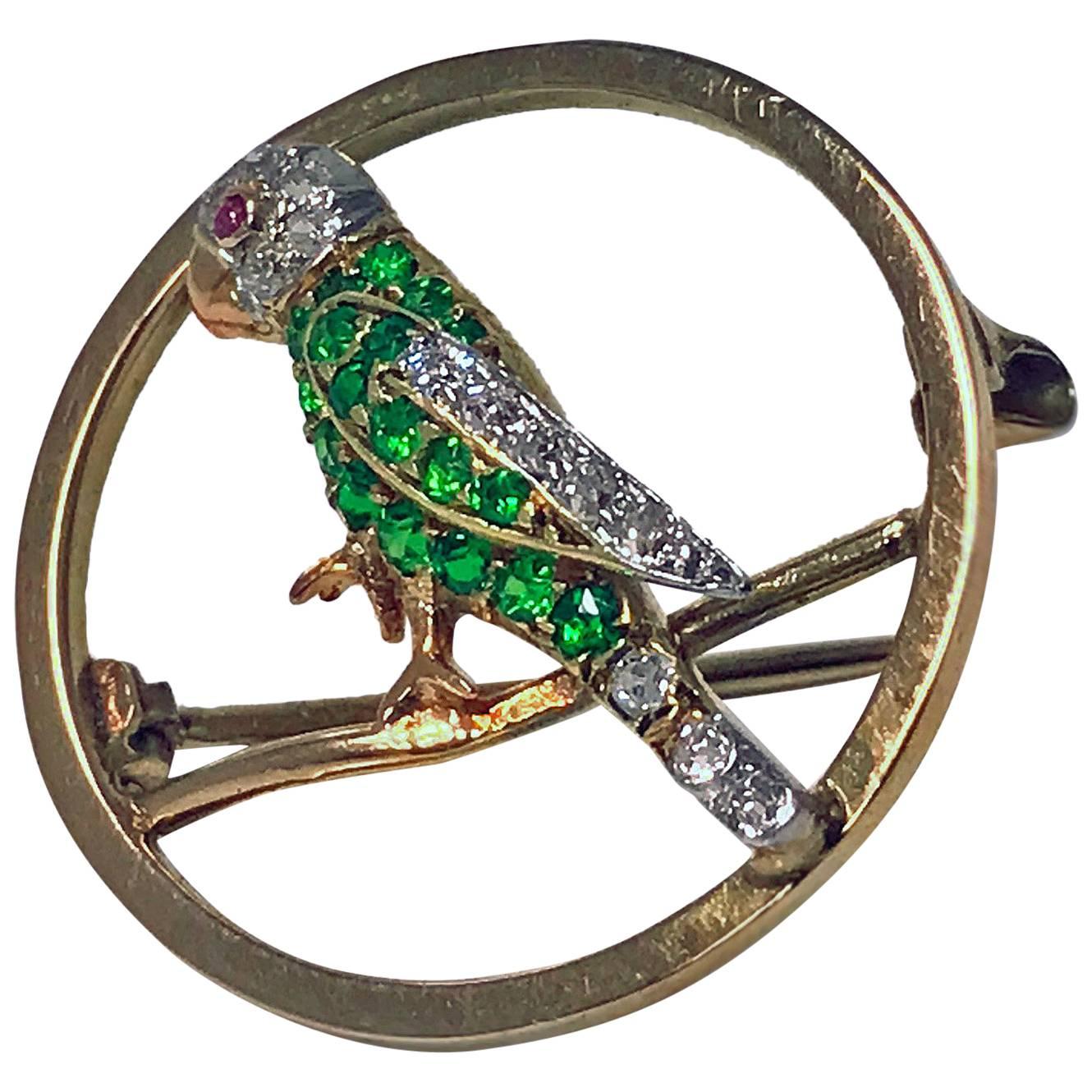 Demantoid, Diamond and Ruby Parrot Pin, C.1920 The open gold circular pin depicting a parrot; the body set with 18 small round facetted demantoid with 5 small old round cut diamonds, the head and tail with a further 8 small old round cut diamonds