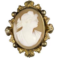 Antique Victorian Cameo Brooch 11