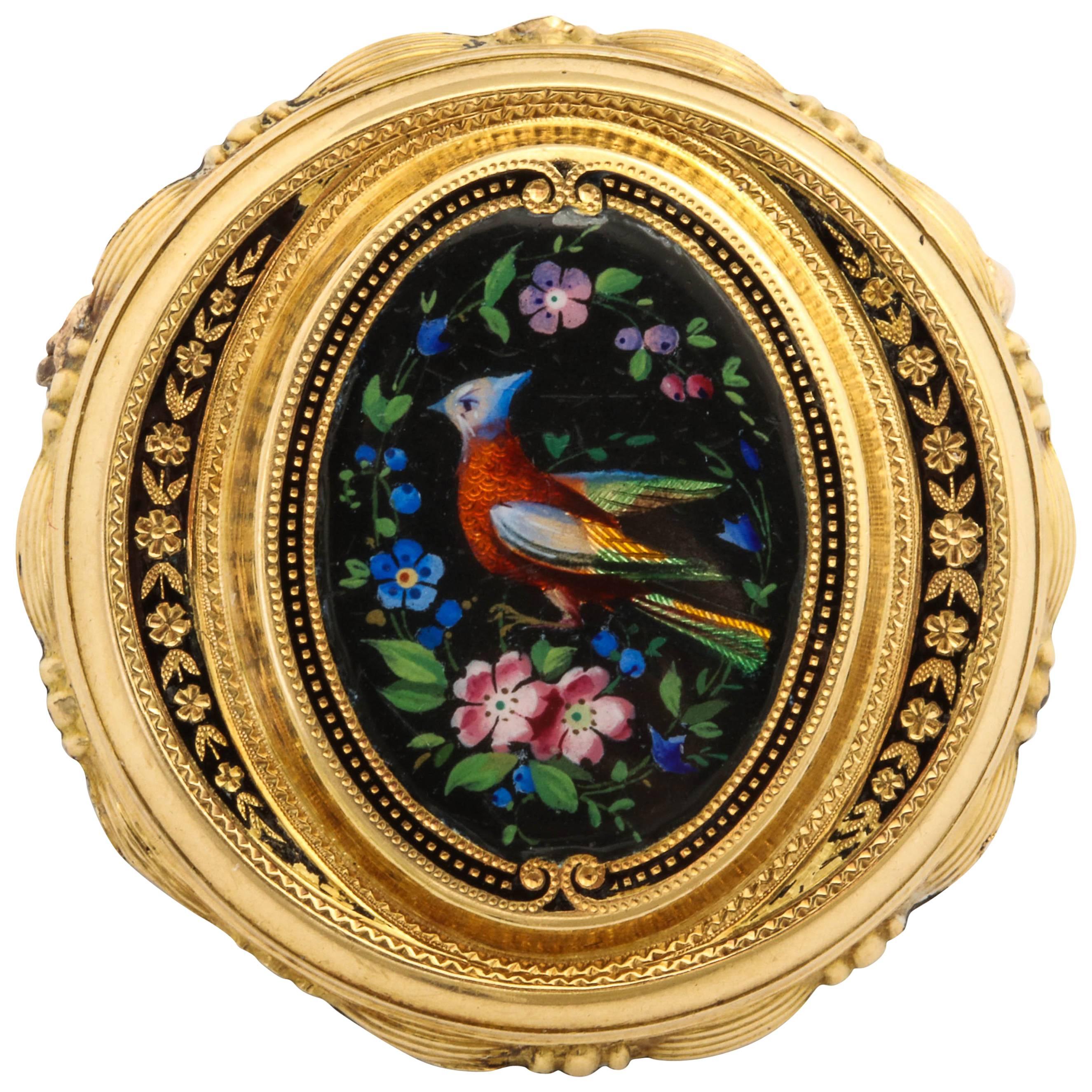 Early Victorian Painted Enamel Bird of Paradise Gold Pin/Pendant, circa 1870