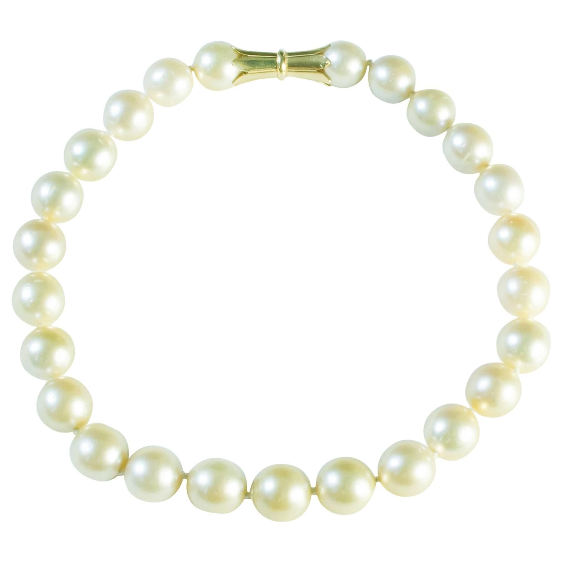 South Sea Pearls Yellow Gold Clasp Necklace For Sale