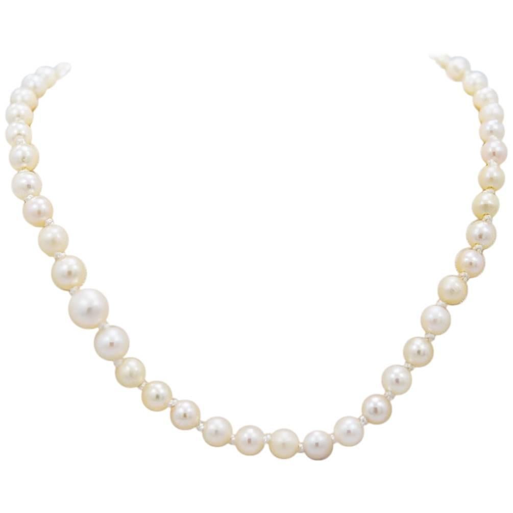 Natural GIA Certified Pearl Sapphire Yellow and White Gold Platinum Necklace