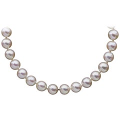 Akoya Cultured Saltwater Pearl Strand Necklace with Yellow Gold Clasp