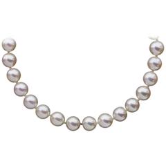 Akoya Cultured Saltwater Pearl Strand Necklace with Yellow Gold Clasp 6