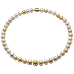 Lust Pearls South Sea Pearl Strand Yellow Gold Clasp