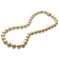Lust Pearls Golden South Sea Pearl Strand 18 Carat Clasp Yellow and White Gold