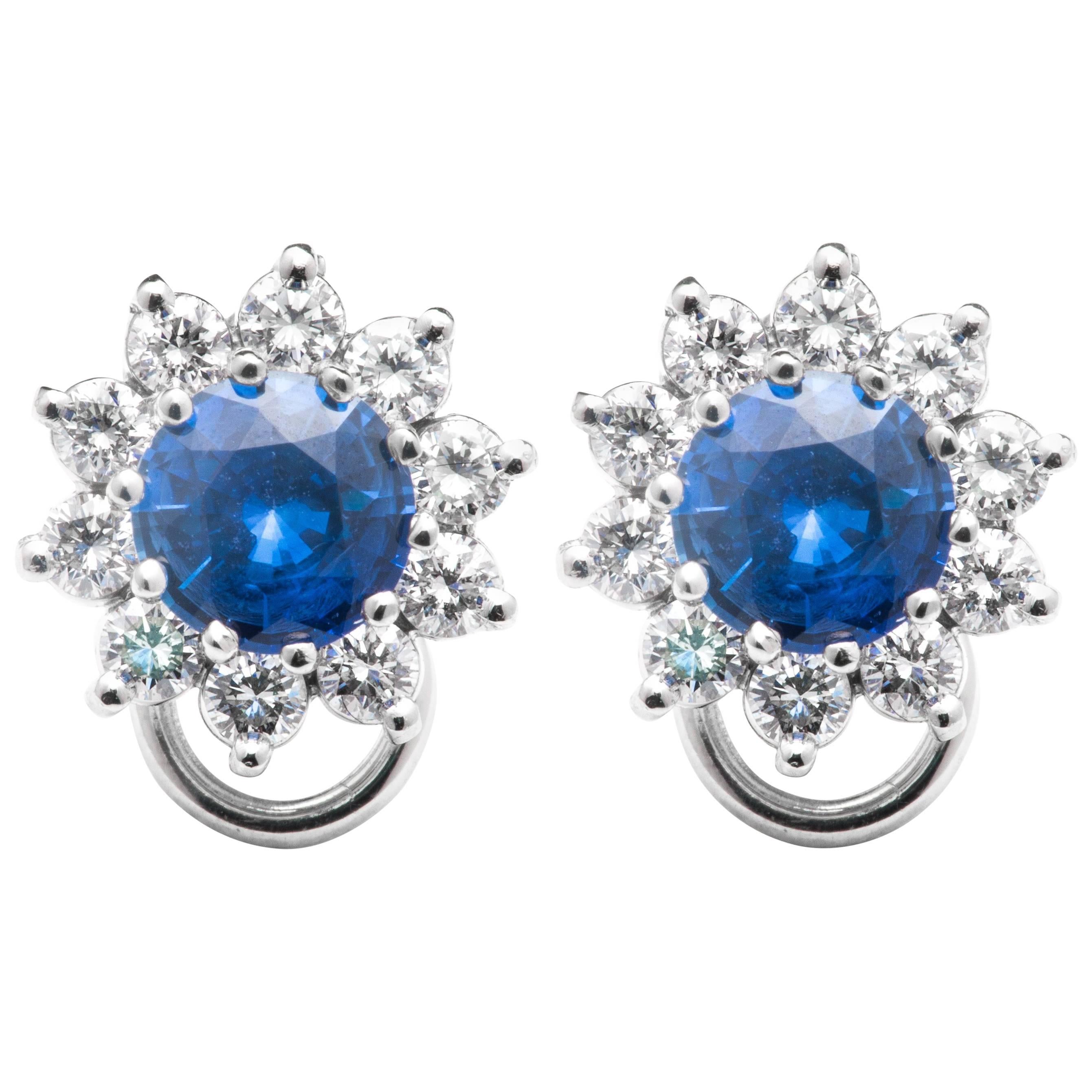 Fine Sapphire and Diamond Earrings For Sale