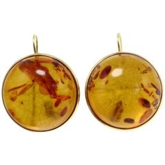 18 kt Gold Amber Earring